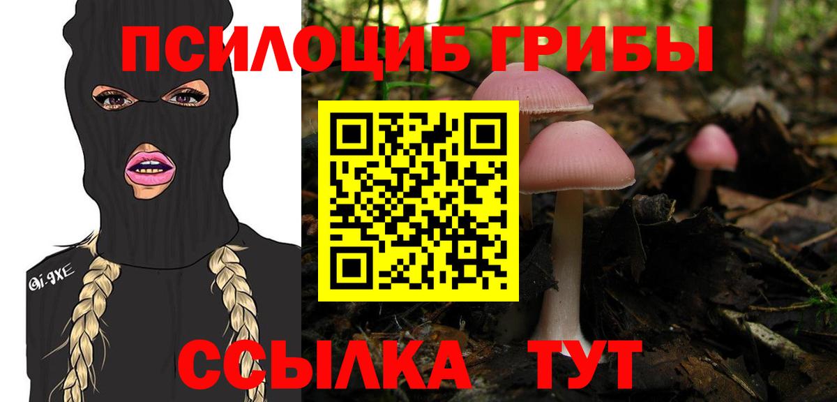 Псилоцибиновые грибы Psilocybine cubensis Александров